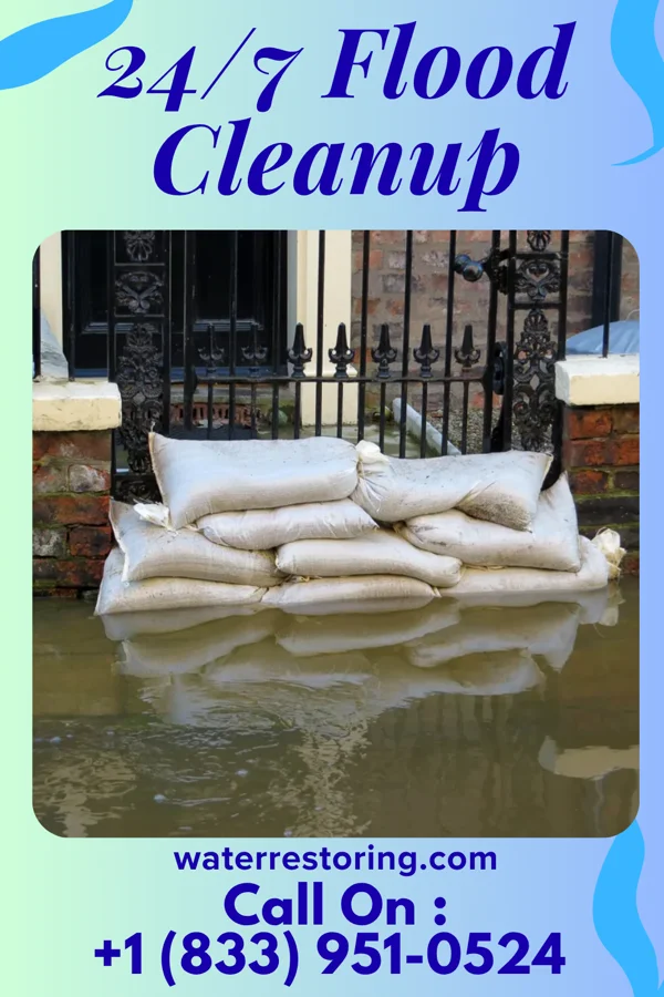 24/7 Flood Cleanup in Elko, NV